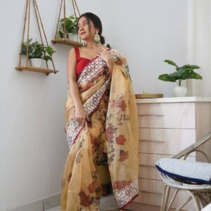 Soft Organza Saree with Elegant Embroidery & Lace Border