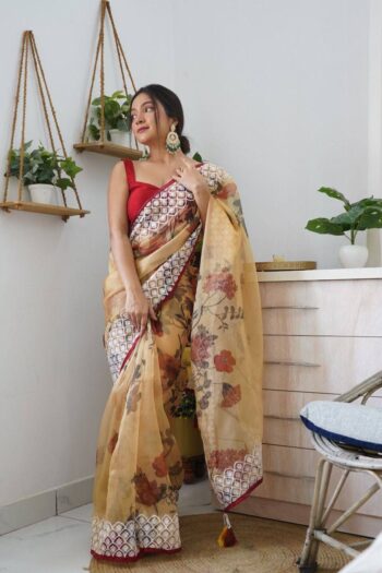 Soft Organza Saree with Elegant Embroidery & Lace Border