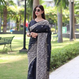 Heritage Charm Handloom Raw Silk Saree with Elegant Pallu