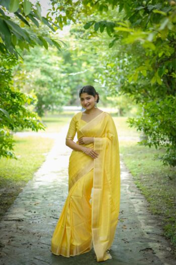 Classic Banarasi Raw Silk Saree with Stunning Zari Accents