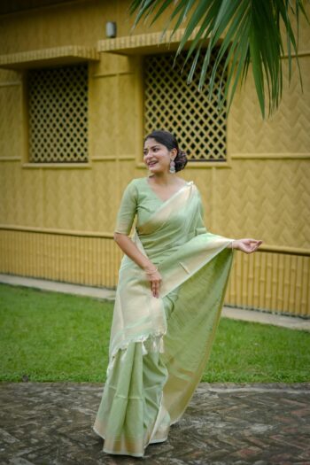 Classic Banarasi Raw Silk Saree with Stunning Zari Accents