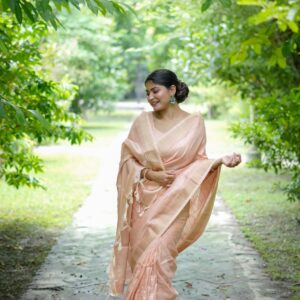 Classic Banarasi Raw Silk Saree with Stunning Zari Accents