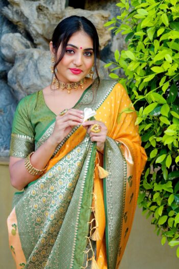Trendy Paithani Banarasi Silk with Stunning Peacock Border