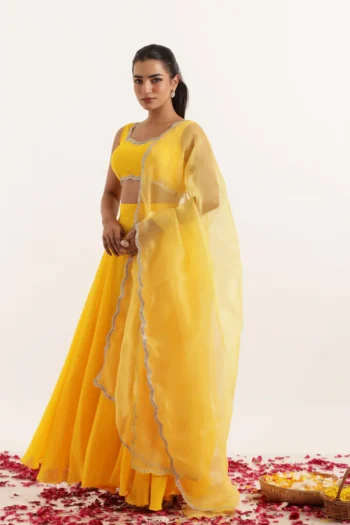 Georgette Sequin Embroidered Lehenga with 8-Meter Flair